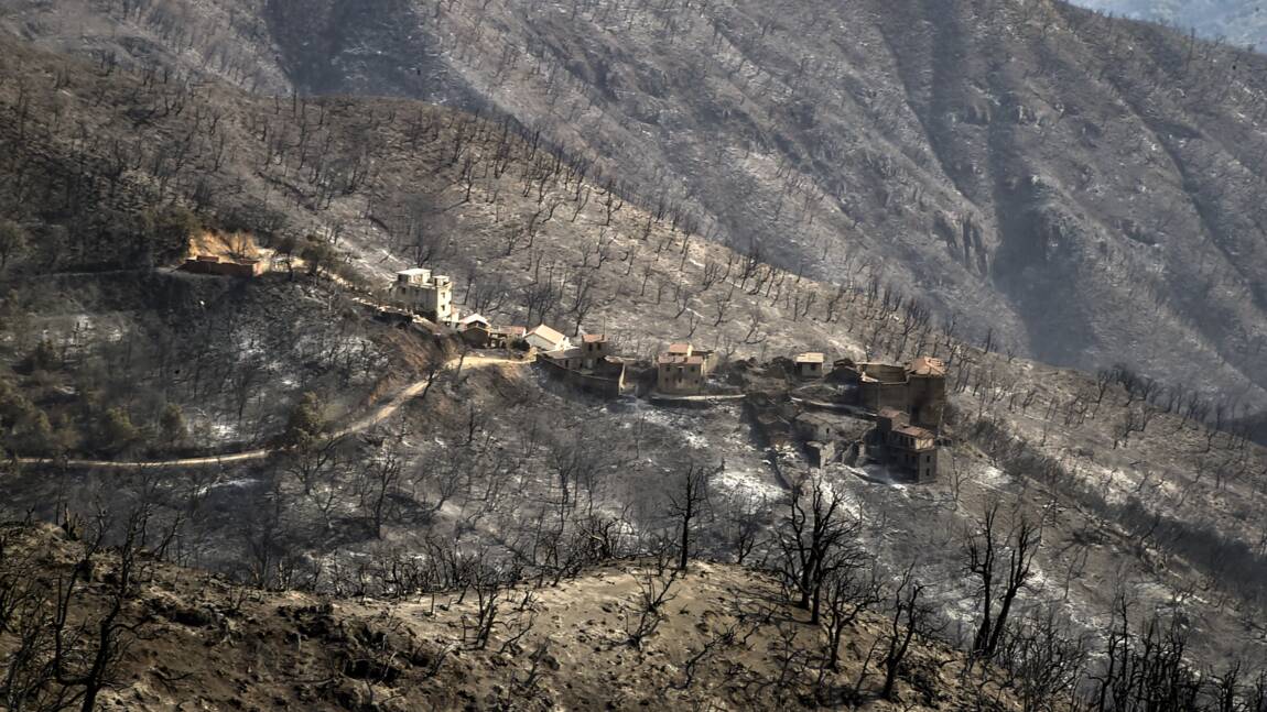 Algérie: tous les incendies ont été éteints