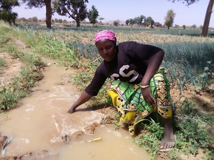 [Burkina Faso] Agro écologie : ces femmes de Korsimoro qui nourrissent la terre pour se nourrir