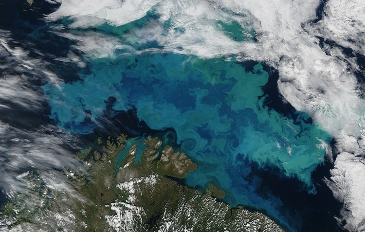 Ce que la couleur des océans révèle du changement climatique
