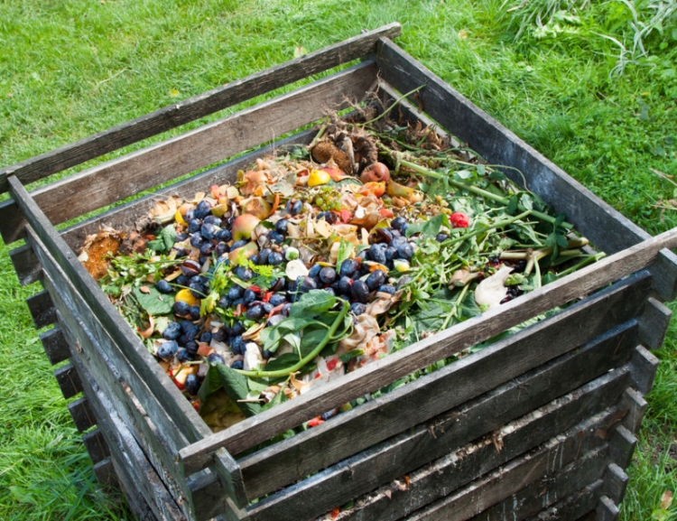 Déchets: Pour soi ou pour les autres, il est venu le temps du compost