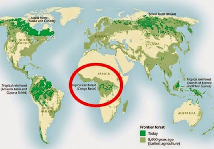 Perte de biodiversité en Afrique