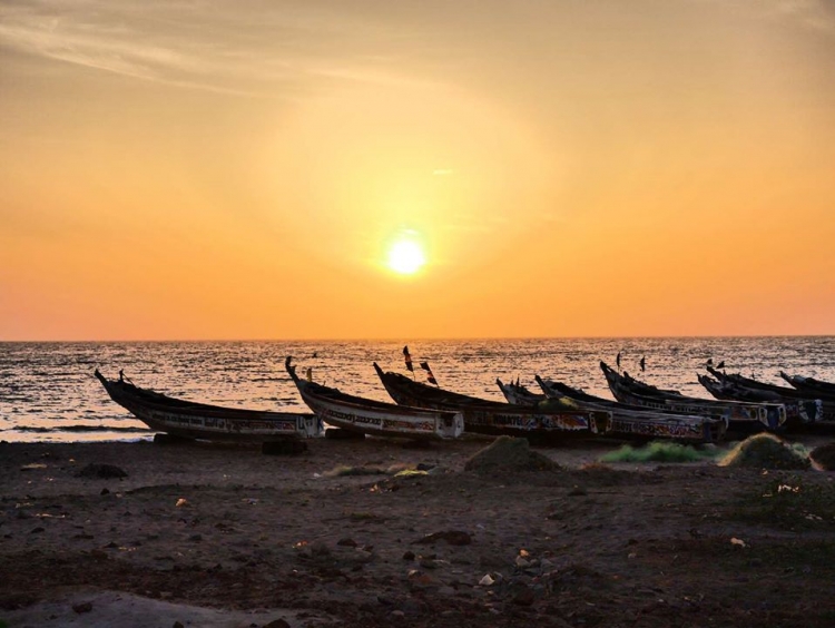 Plongée profonde dans les subventions à la pêche, partie 1: le Sénégal et la sardinelle en souffrance