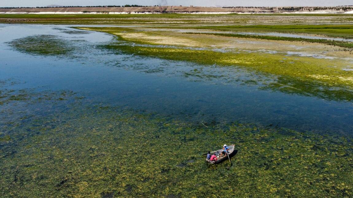 Syrie: sécheresse et géopolitique menacent les riverains de l’Euphrate