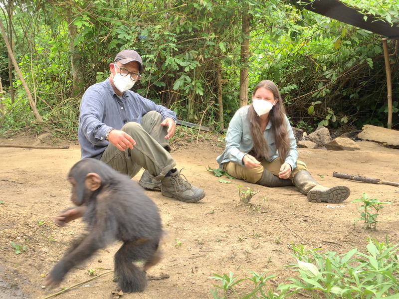 “Primate en sursis, le combat d’Amandine” : une primatologue au chevet des chimpanzés en RDC