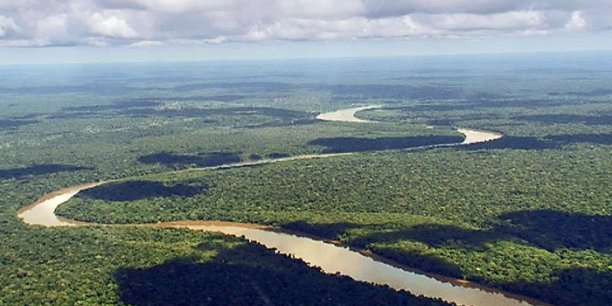 L’Afrique prend en main la sauvegarde de sa biodiversité