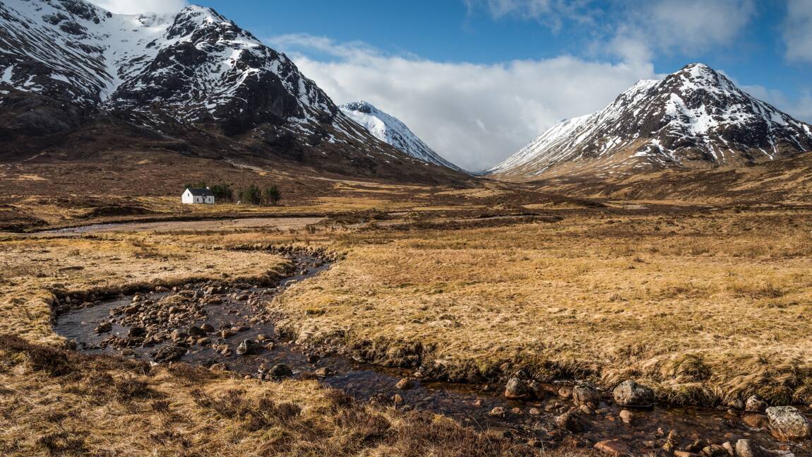 Ecosse : lumière sur un gigantesque projet de réensauvagement des Highlands