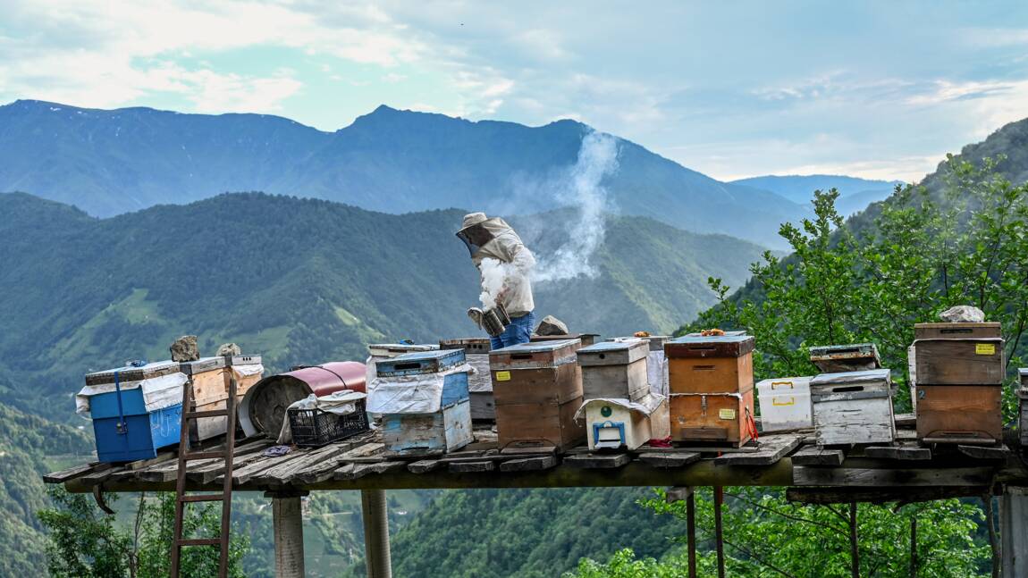 Faut-il donner une valeur économique à la nature pour mieux la protéger ?