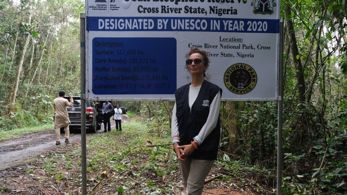 L’Unesco annonce 21 nouvelles réserves de biosphère, dont la Martinique, dans 21 pays