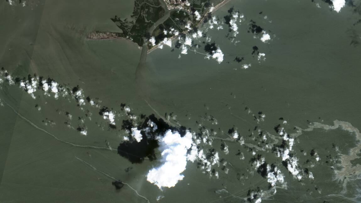 Pollution au pétrole dans le golfe du Mexique après le passage d’Ida