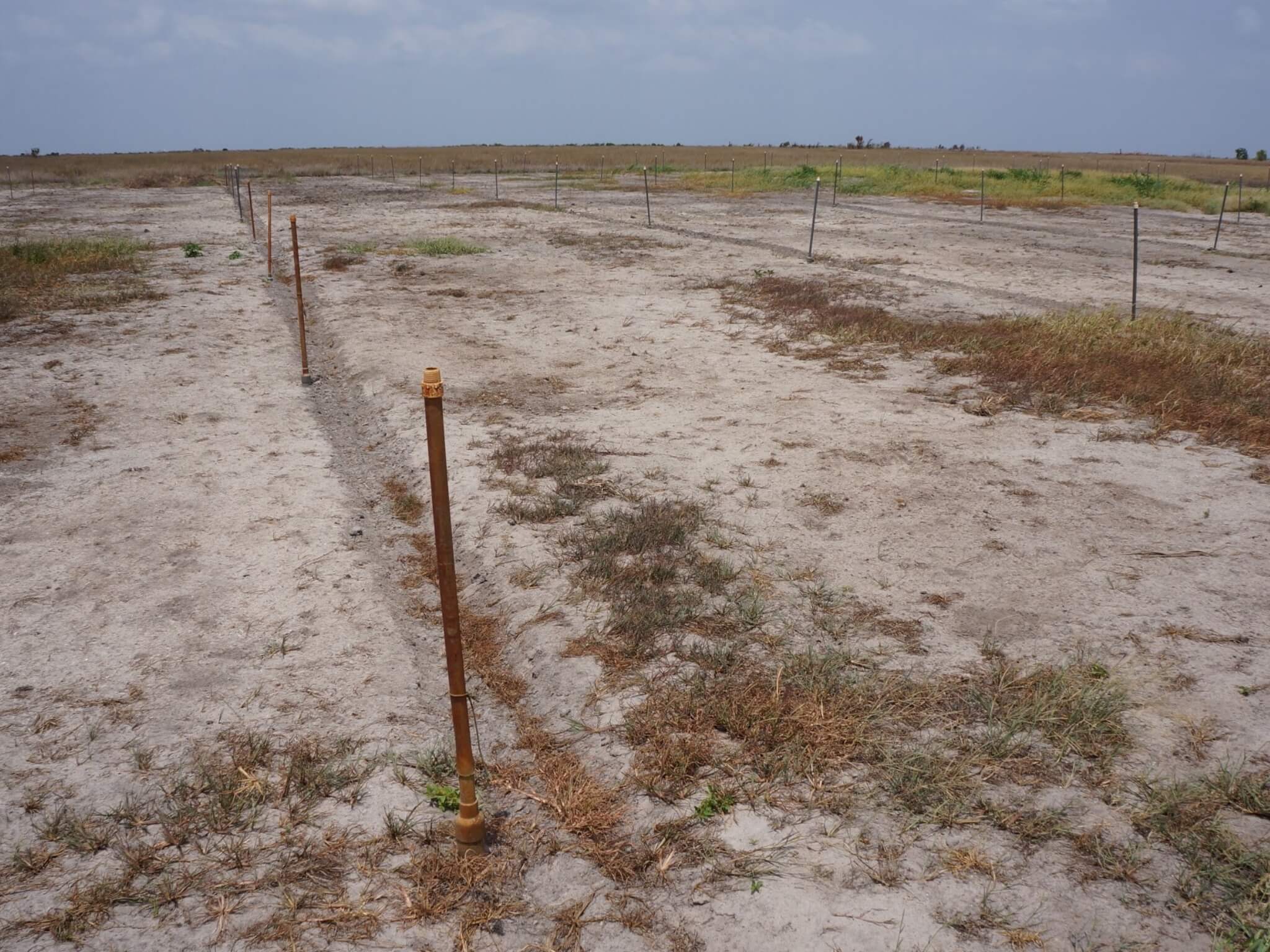 Près d’un milliard d’hectares de sols touchés par la salinisation à travers le monde