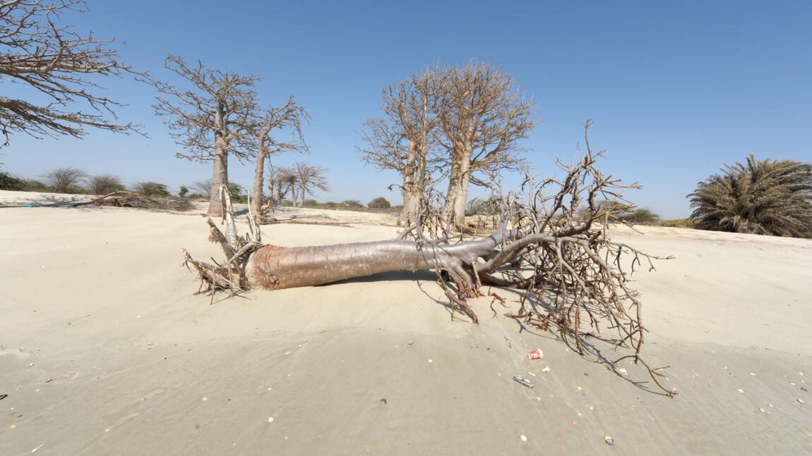 Climat en Afrique: menace pour la survie de millions de personnes, selon l’ONU