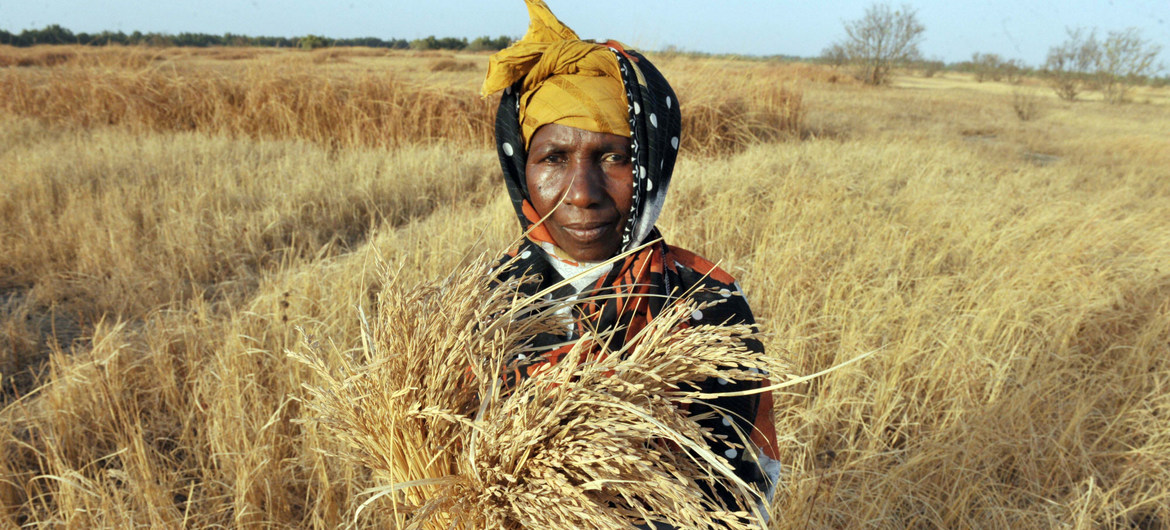 Afrique de l’Ouest : quatre pays coopèrent dans la gestion du bassin aquifère sénégalo-mauritanien (CEE/ONU)