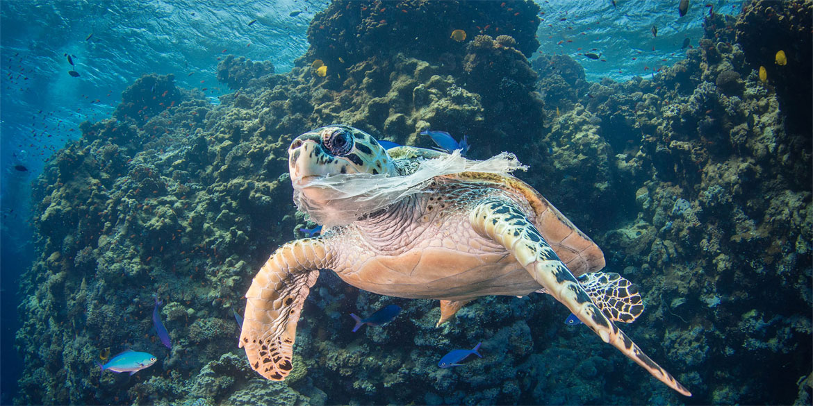 L’ONU juge cruciale une réduction drastique des déchets marins et de la pollution plastique