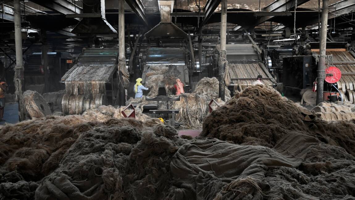 Inde: l’industrie du jute veut croire en son nouvel essor, comme alternative au plastique