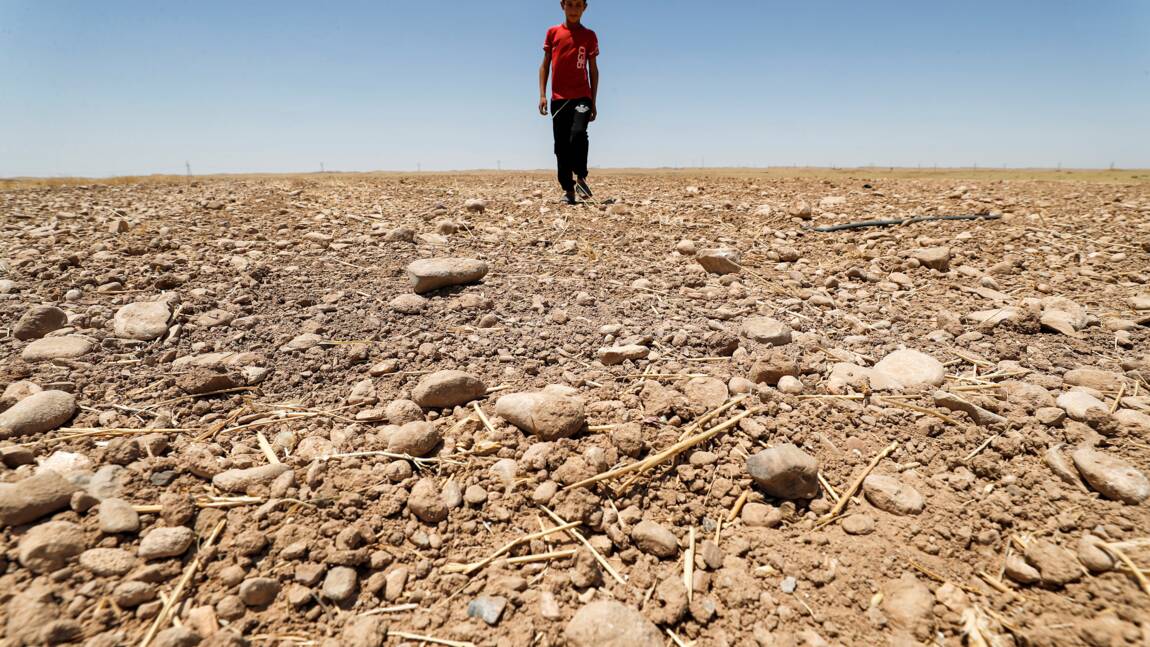 Réchauffement climatique: les pays du Moyen-Orient en première ligne