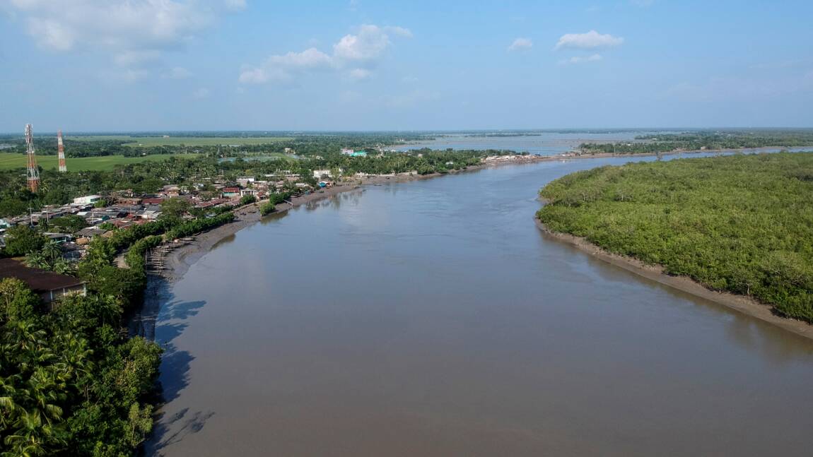 Climat: des Indiennes se mobilisent pour reboiser le littoral des Sundarbans