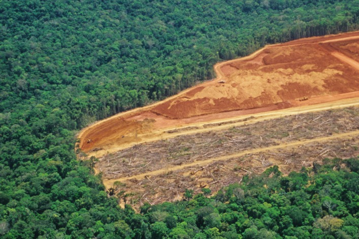 MALGRÉ LES PROMESSES DE JAIR BOLSONARO, LA DÉFORESTATION EN AMAZONIE N’A PAS CESSÉ D’AUGMENTER