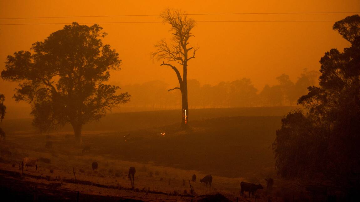 Le changement climatique, facteur “déterminant” des feux de forêt en Australie, selon une étude