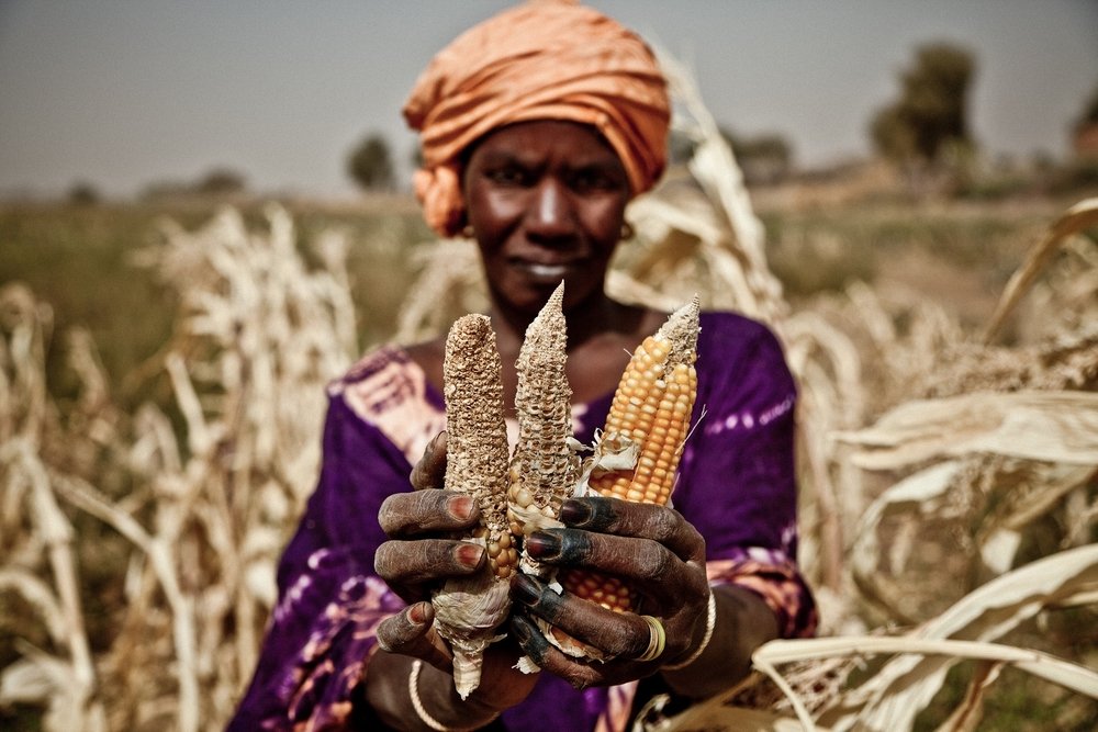 Sans elles, pas d’action climatique possible