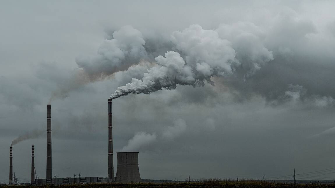 Face aux promesses de neutralité carbone à tout va, les scientifiques s’interrogent