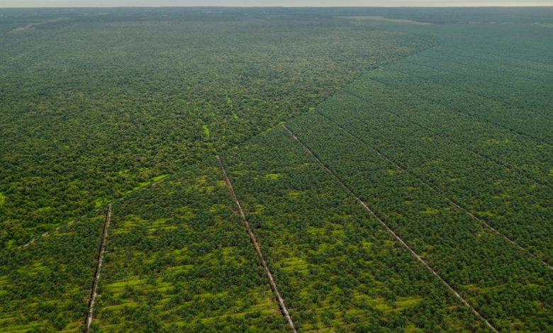 Les engagements des pays en matière de climat reposent sur des données erronées