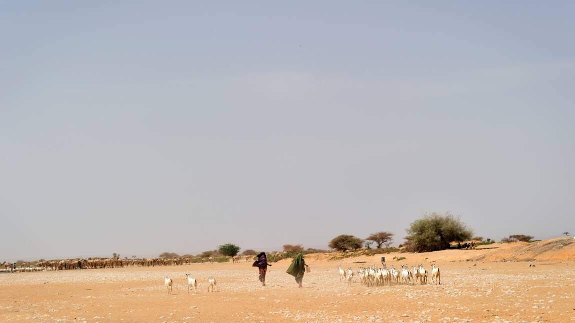 13 millions de personnes menacées par la sécheresse dans la Corne de l’Afrique
