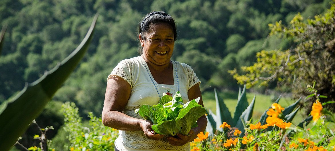 Les artisanes d’un avenir durable : la violoniste mexicaine qui a sauvé la Sierra Gorda