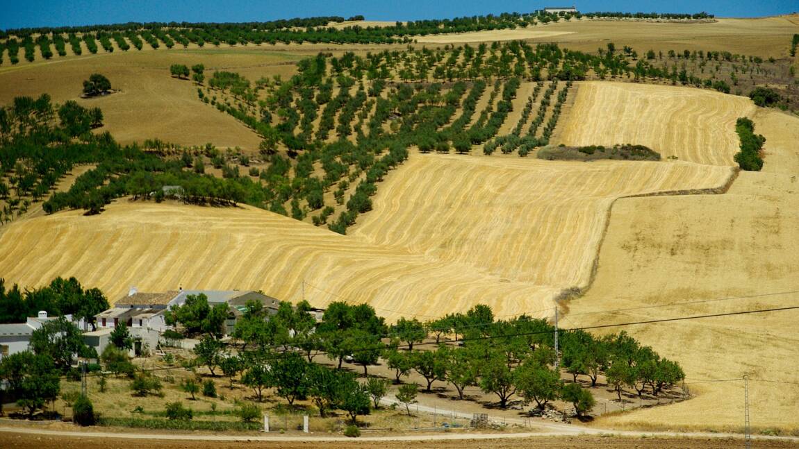 L’Espagne et le Portugal frappés par la sécheresse en plein hiver