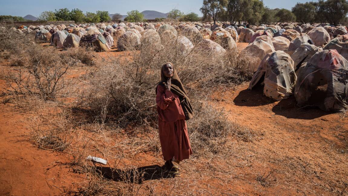 “Éclipsée” par les autres crises, la Somalie manque de fonds pour lutter contre la sécheresse