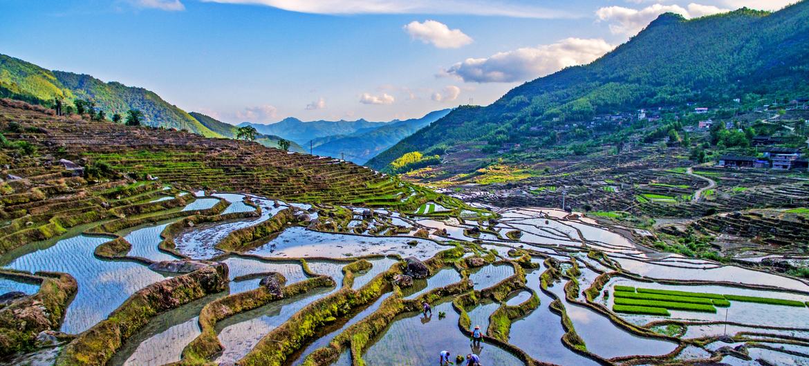 Les eaux souterraines, une ressource essentielle face à la crise mondiale de l’eau