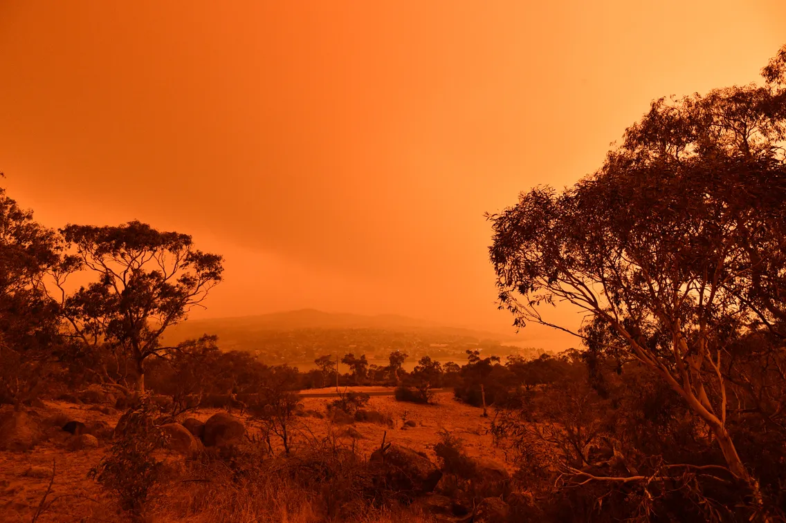 Du climat au Covid, de quelles « catastrophes » parlons-nous ?