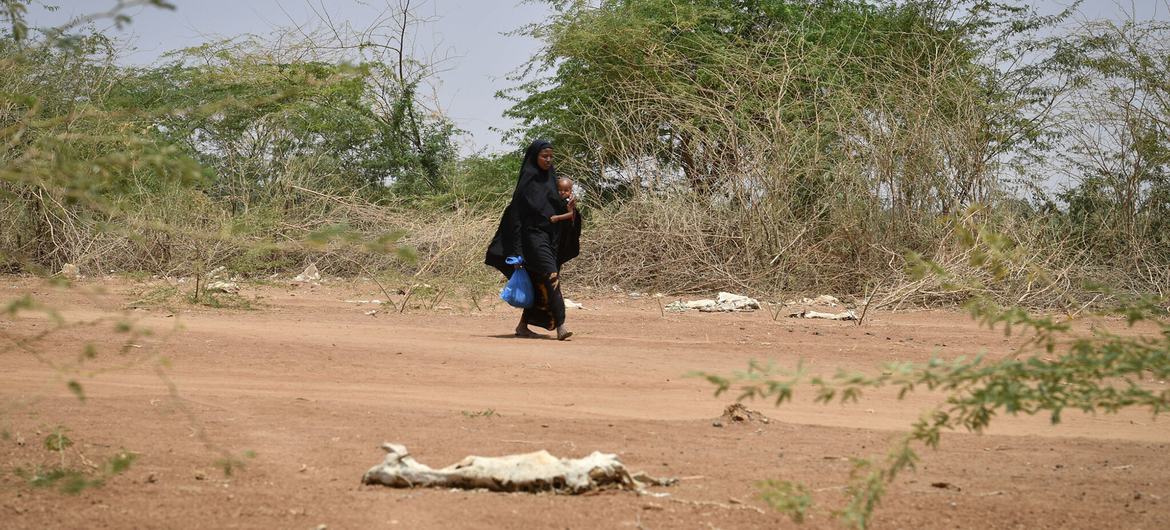 Risque croissant de famine en Somalie, alors que l’impact de la sécheresse s’aggrave