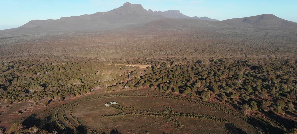 Journée de la Terre : 5 façons de réparer les dommages causés à notre planète