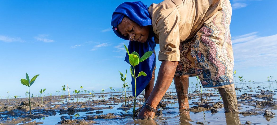 Si l’on veut un avenir durable, il est crucial de prévenir les catastrophes et réduire les risques, selon l’ONU