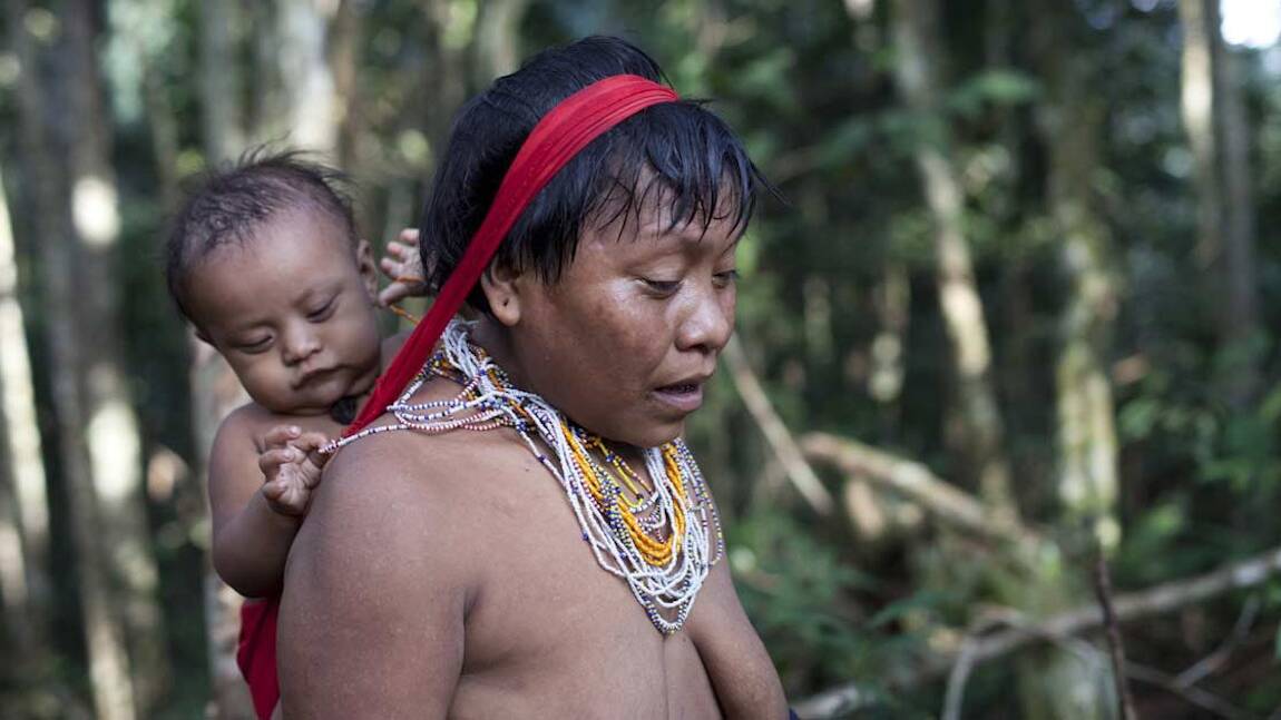 Triste anniversaire pour la réserve du peuple Yanomami au Brésil