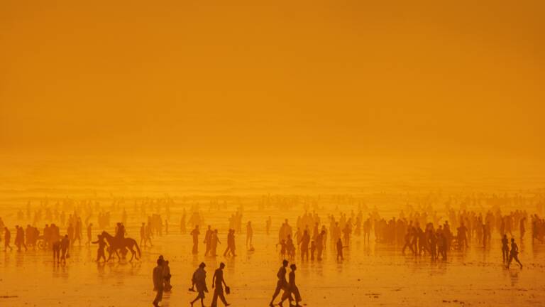 La crise climatique pourrait réduire la taille des humains