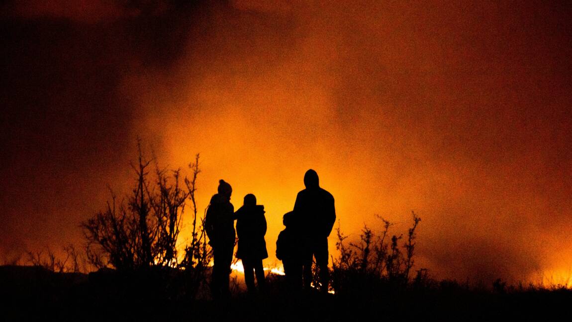 La plus grande forêt de pins du Liban en proie à un gigantesque incendie