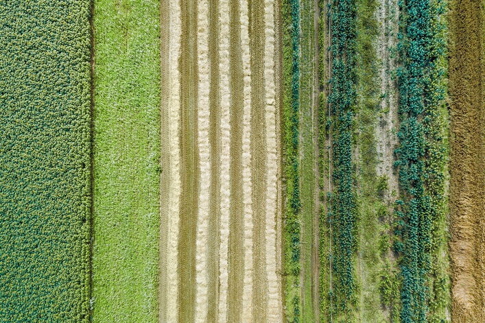 IL FAUT ARRÊTER DE VOIR LA NATURE COMME UNE SOURCE DE PROFIT À COURT-TERME, PRÉVIENT L’IPBES