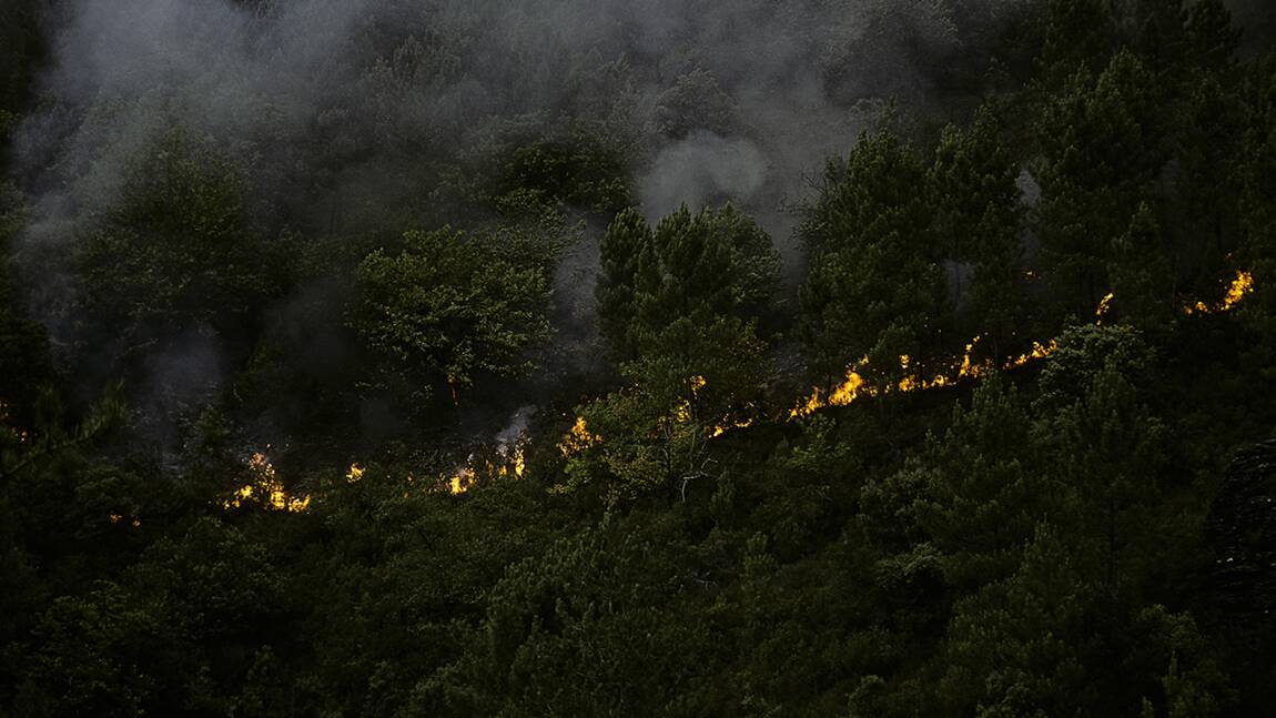 France-Gironde : plus de 7.000 hectares brûlés lors des feux de forêt