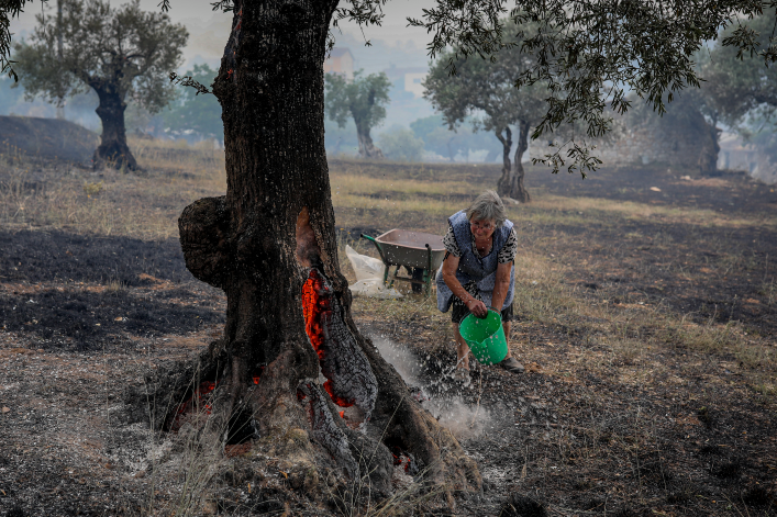 L’EUROPE BRÛLE : LES INCENDIES DÉVORENT LE PORTUGAL, LA GRÈCE, LA FRANCE…