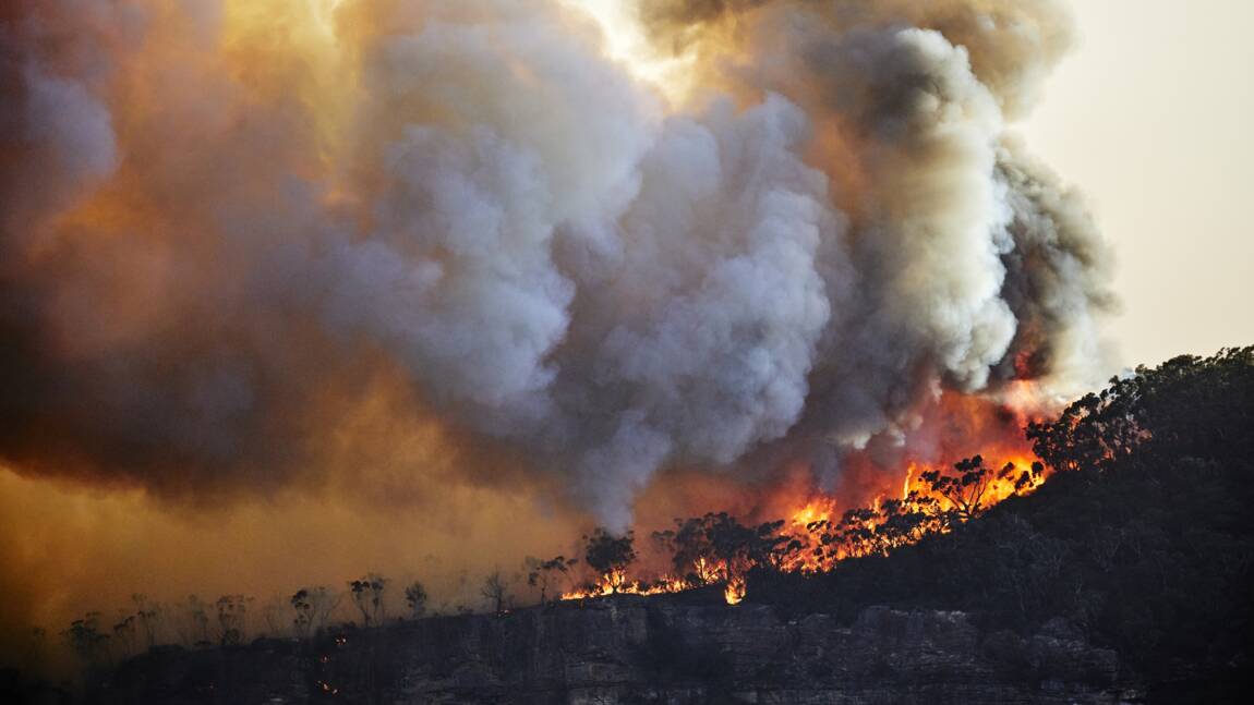 Incendies en forêt : qu’est-ce-que les “mégafeux”?