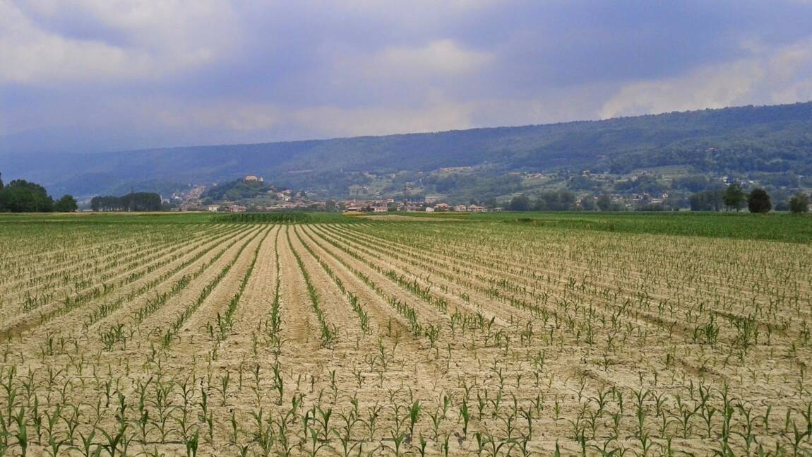 Sécheresse : l’Italie décrète l’état d’urgence dans cinq régions du Nord et rationne ses habitants en eau potable