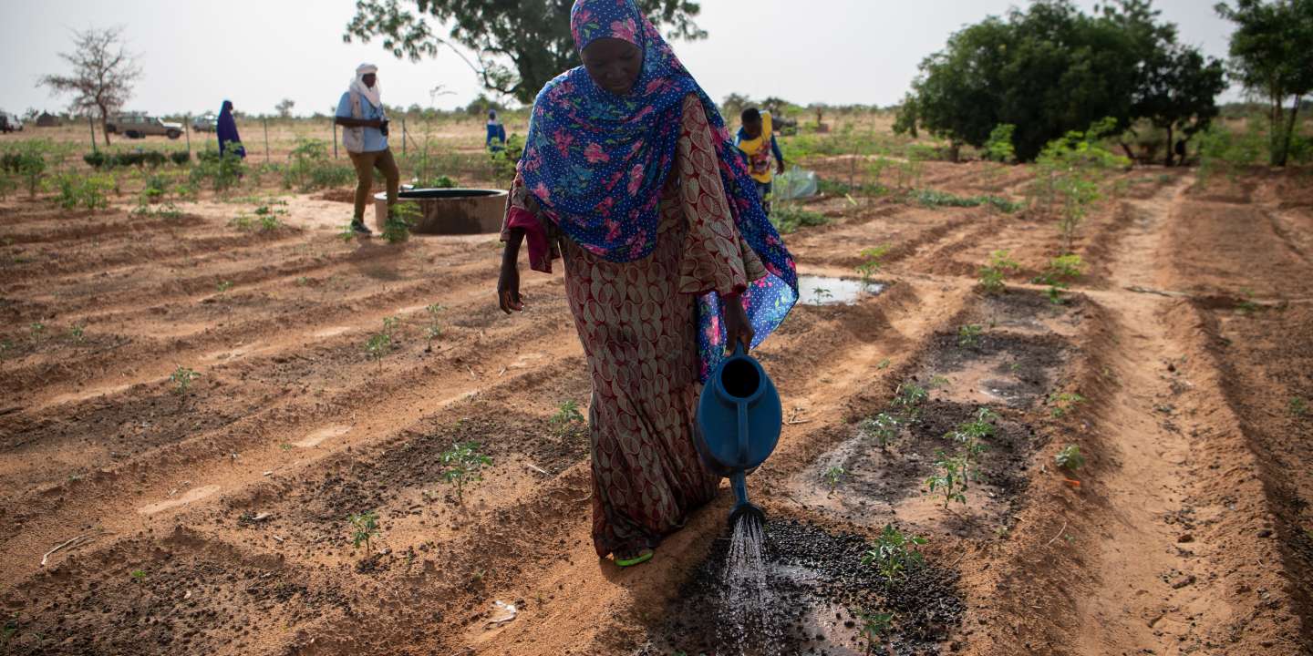 Le Niger provoque des pluies pour éloigner le spectre de la sécheresse
