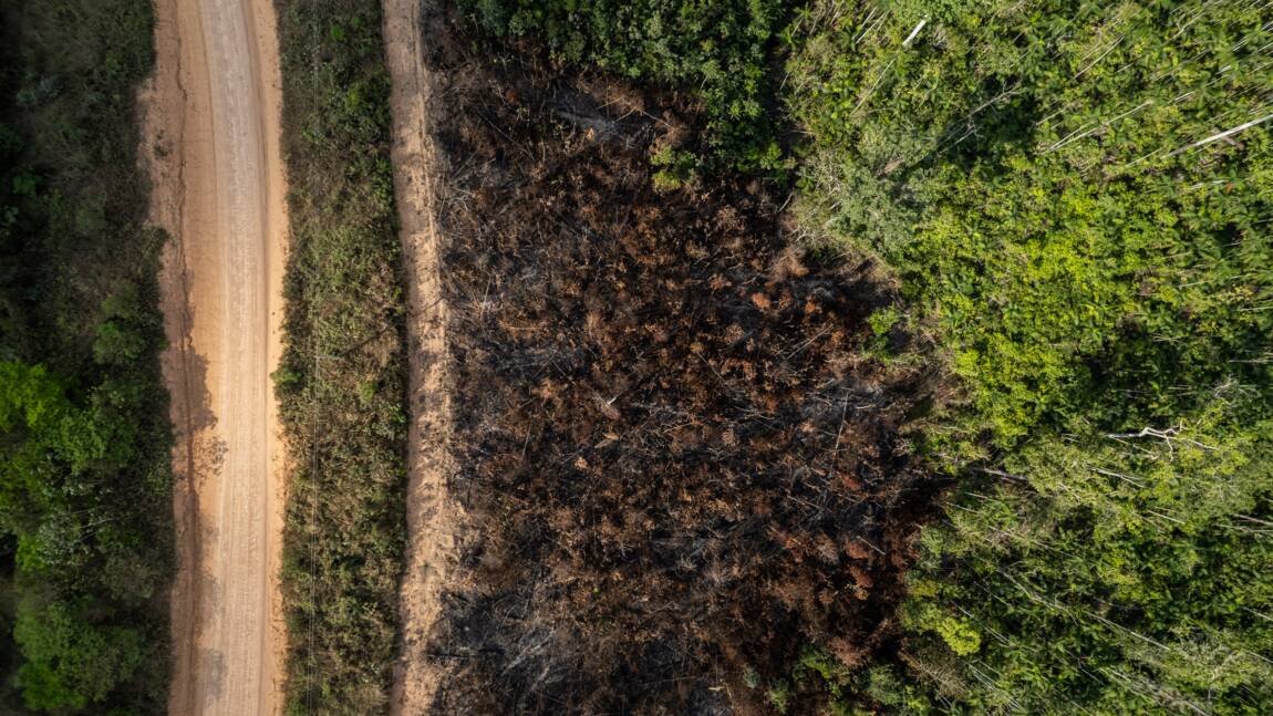 Brésil : record d’incendies en Amazonie depuis 15 ans