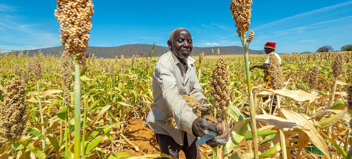 Il faut confronter en même temps les crises du climat et du développement durable, plaident des experts de l’ONU