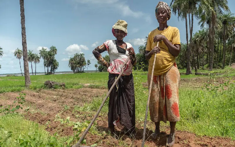 Dans les pays du Sud, la transition agroécologique au défi du financement