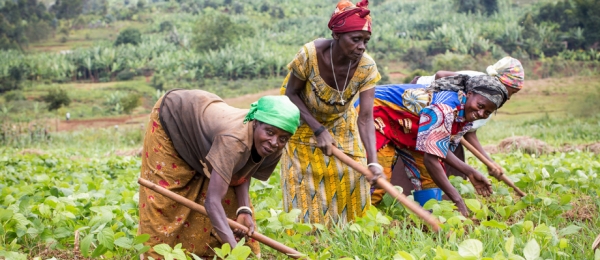 Le paradoxe des données climatiques en Afrique de l’Ouest : plus que jamais urgentes mais de moins en moins accessibles