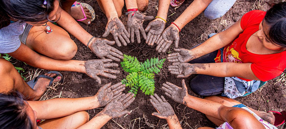 Climat, biodiversité, déchets : 8 bonnes solutions à travers le monde