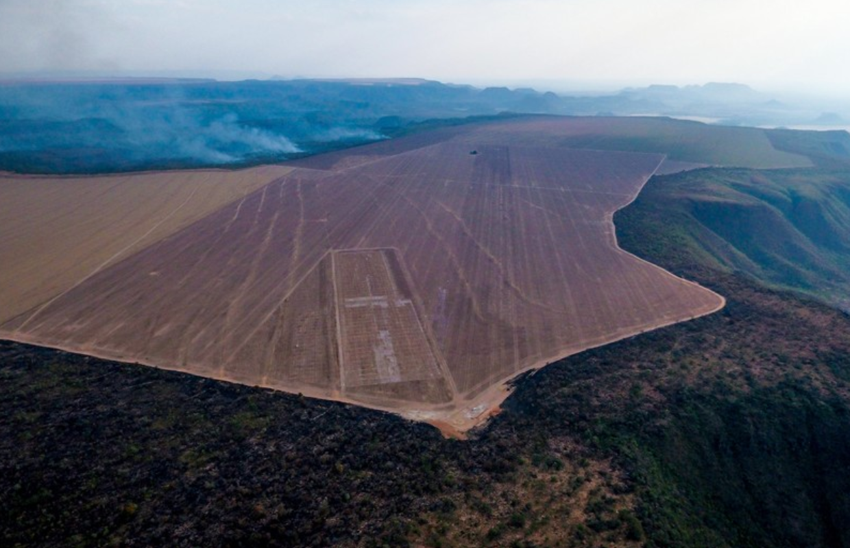 Des champs devenus supermarchés : la perte croissante de terres agricoles en Europe