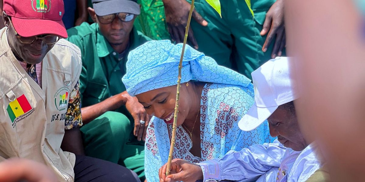 KHADY CAMARA EN TRAIN DE REBOISER DANS LE FOULADOU